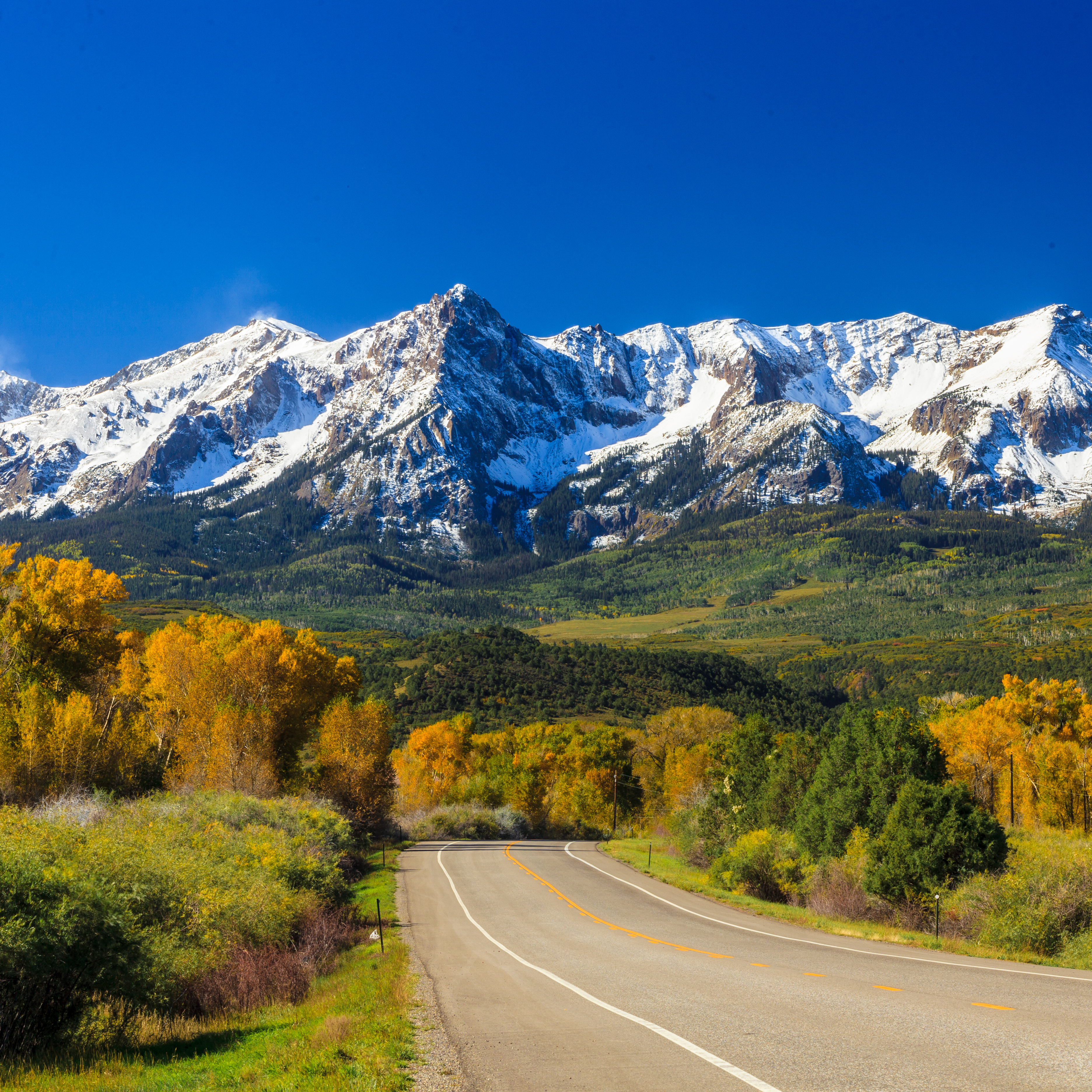 A single lane road running through yellow and green trees and grass with snow dusted mountains and a blue sky in the distance.