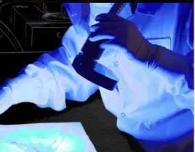 image of a scientist's torso lit up by blacklight as they look at fingerprints